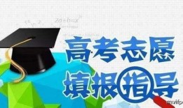 高考 在线观看,揭秘高考直播背后的故事