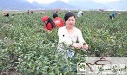 农家家在线观看,田园生活新体验